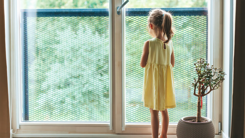 Pencere Güvenlik Filesi